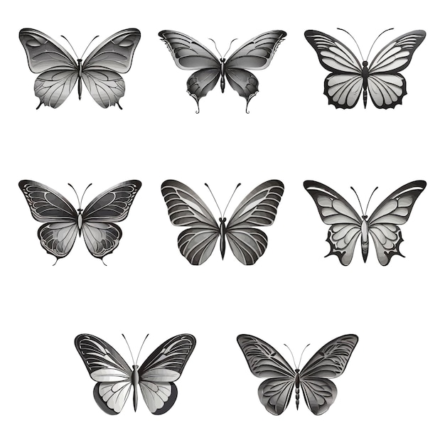 A collection of butterflies butterfly silhouette set