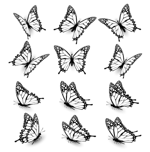 Collection of butterflies flying in different directions Butterfle silhouette Vector