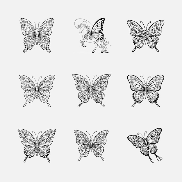 a collection of butterflies with a butterfly on the bottom