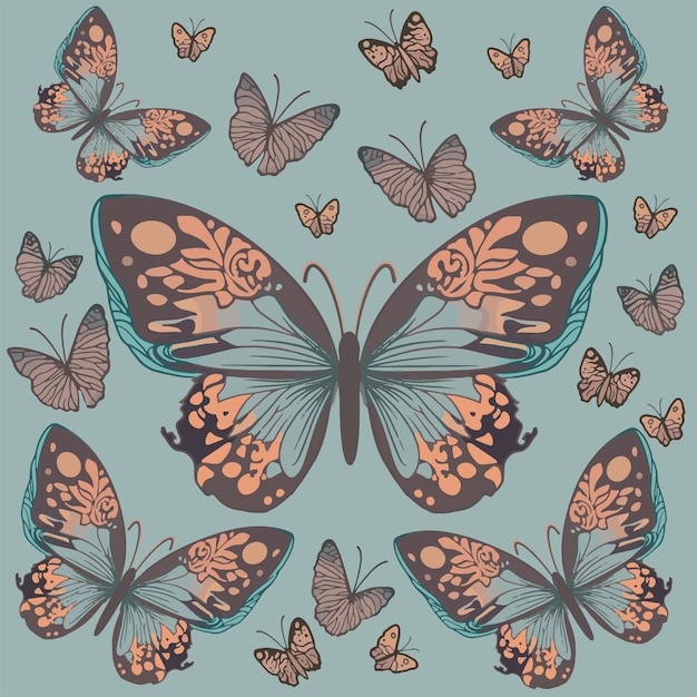 A collection of butterflies