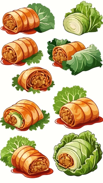 Vector a collection of cabbage rolls dish cartoon drawing artwork illustration vector