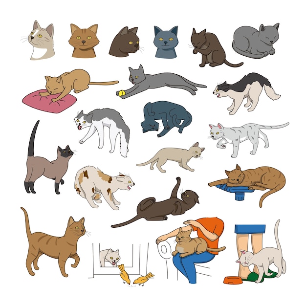 Collection Cats of Different Breeds 