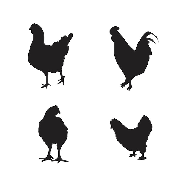 Collection of chicken animal silhouette vector illustrations