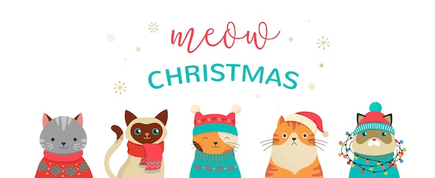 Collection of Christmas cats, Merry Christmas illustrations of cute cats with accessories like a knited hats, sweaters, scarfs