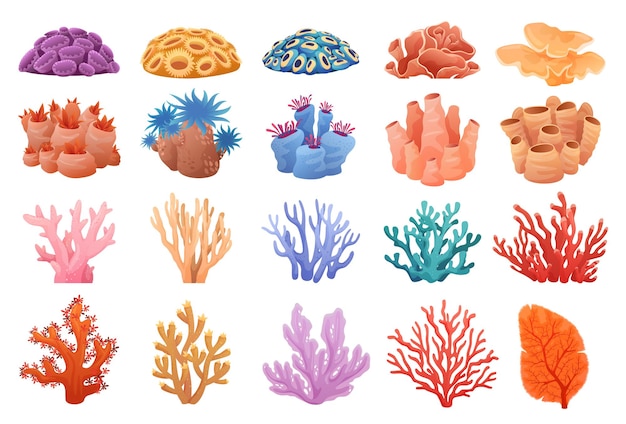 Collection of colored corals of different shapes