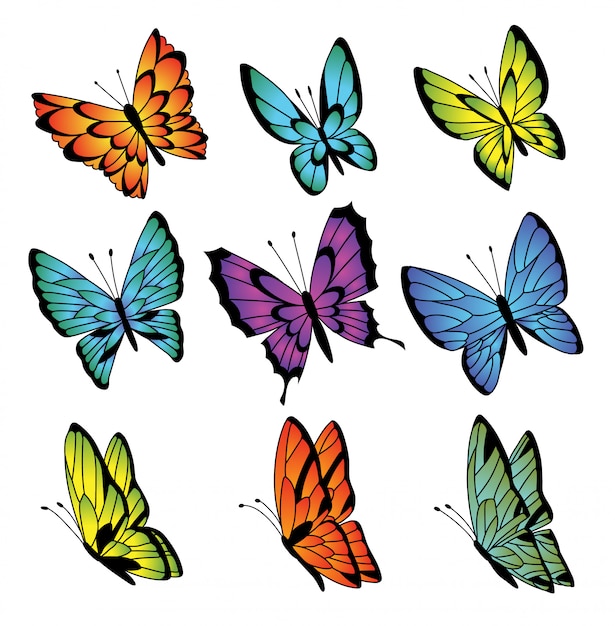 Collection of colorful butterflies