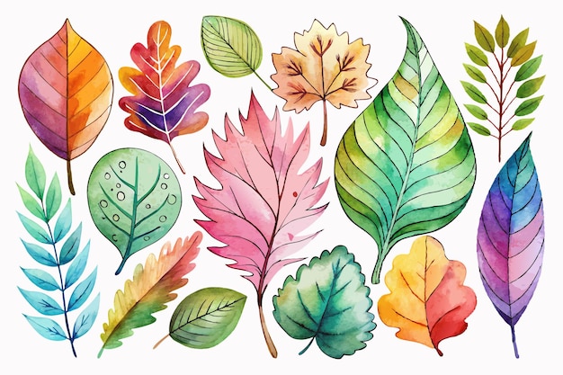 Vector a collection of colorful leaves and leaves from the year