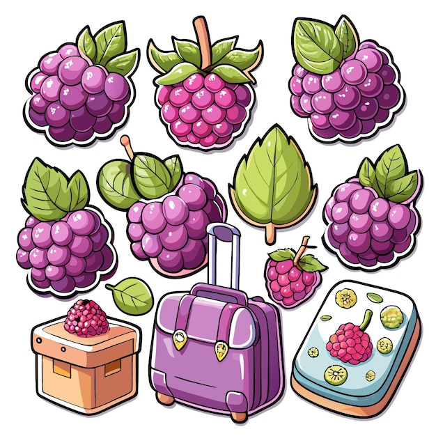 Vector a collection of colorful raspberrythemed illustrations and objects