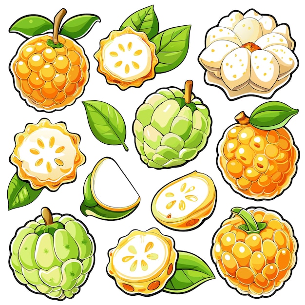 A collection of colorful tropical fruits and leaves illustrations