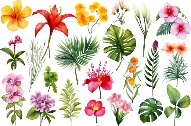 Vector a collection of colorful tropical plants including tropical flowers and plants