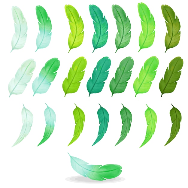 Collection of colorful watercolor feathers, green palette