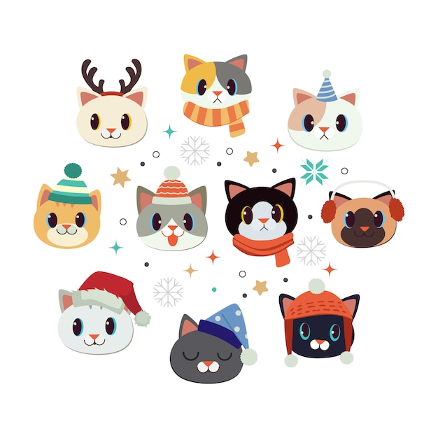 Collection of cute cat with christmas theme