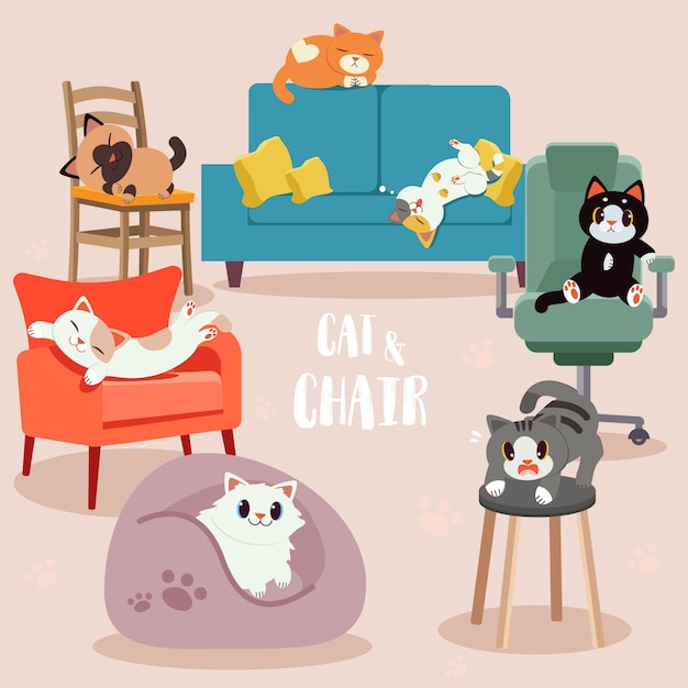 collection of cute cats with the chair pack. some cat look happy, scary and relaxing.