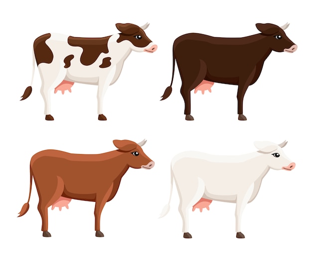 Collection of cute cows. Farm domestic animal.  style animal .  illustration  on white background