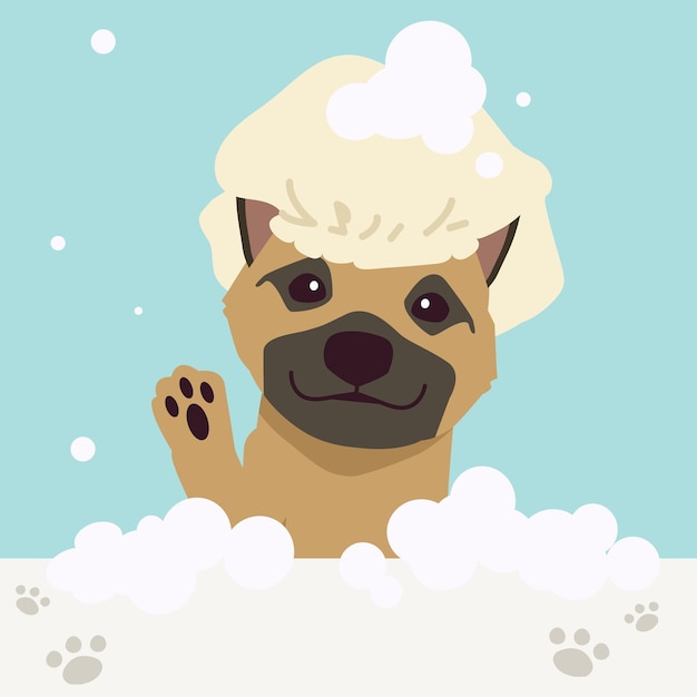 The collection of cute dog with spa and salon theme in flat vector style