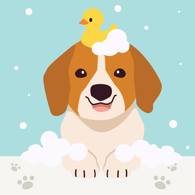 The collection of cute dog with spa and salon theme in flat vector style