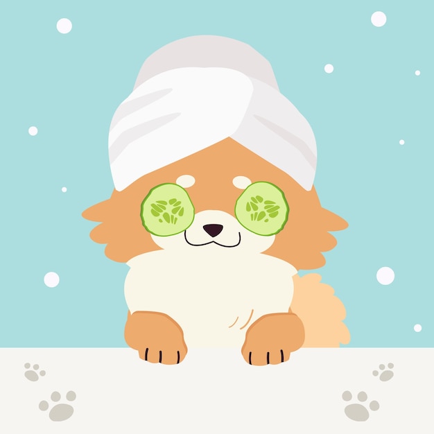 The collection of cute dog with spa and salon theme in flat vector style