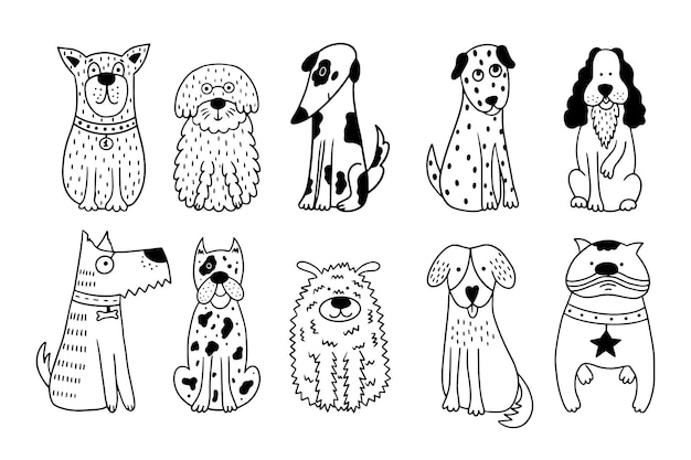 Collection of cute dogs Set of 10 doodle pets on a white background