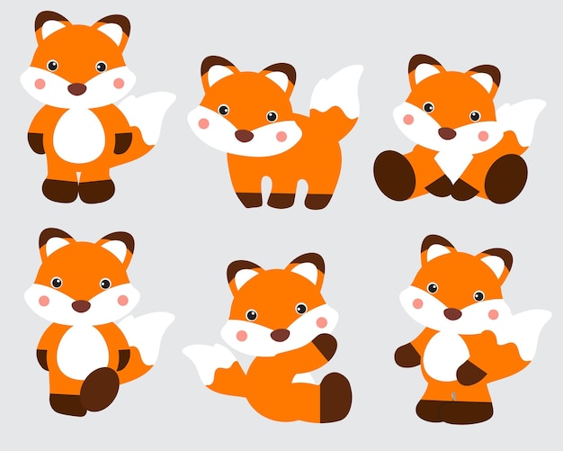 Collection of cute  foxes