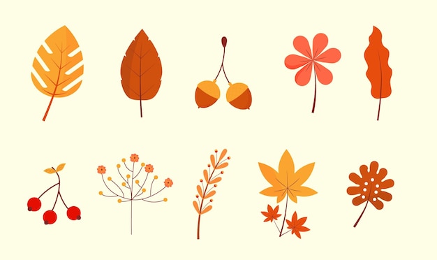 Collection of Different Autumn Leaves