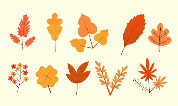 Collection of Different Autumn Leaves