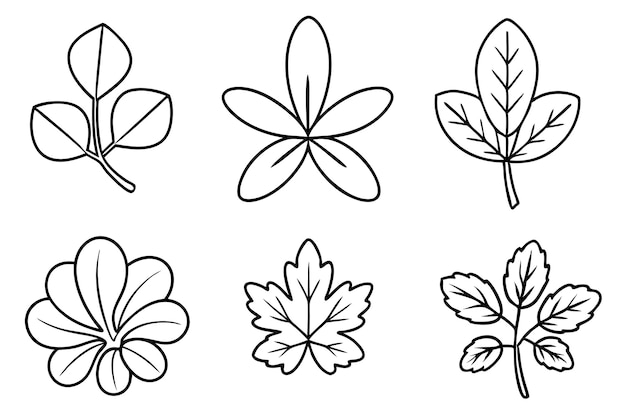 a collection of different designs including leaves and flowers