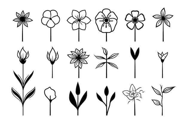 A collection of different flowers on a white background.