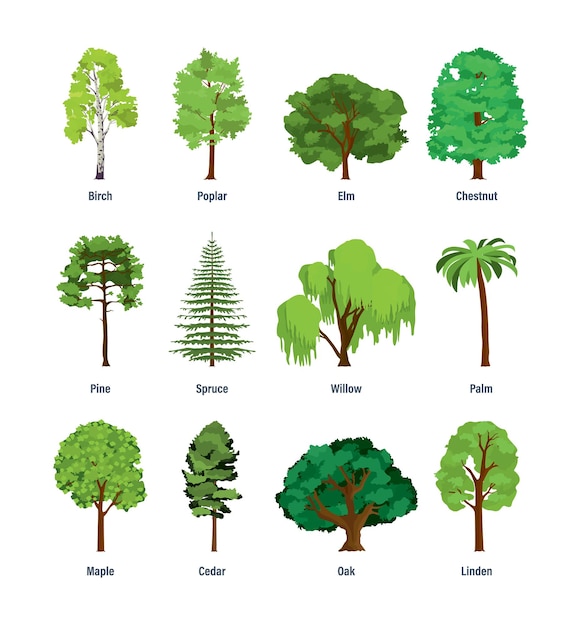 Collection of different kinds of trees