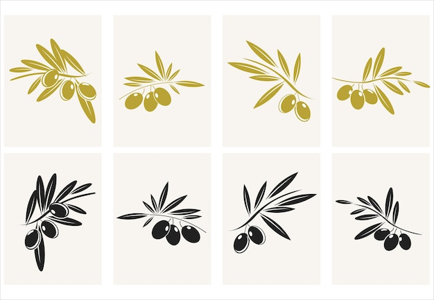 Collection of different olive branch isolated on white background