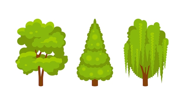 Collection of different trees isolated on white background. Vector illustration