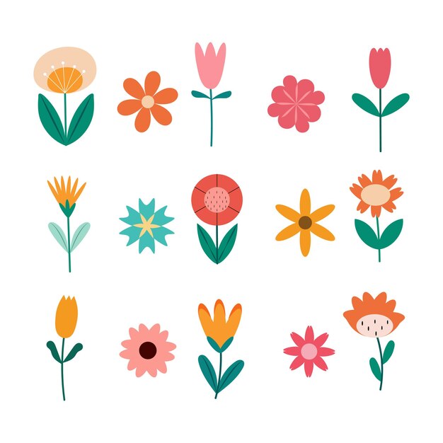 Vector collection of different vector abstract flowers and leaves illustration