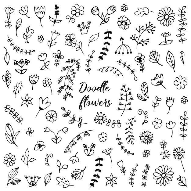 Vector collection of doodle flowers and leaves for design of surfaces textiles packaging backgrounds