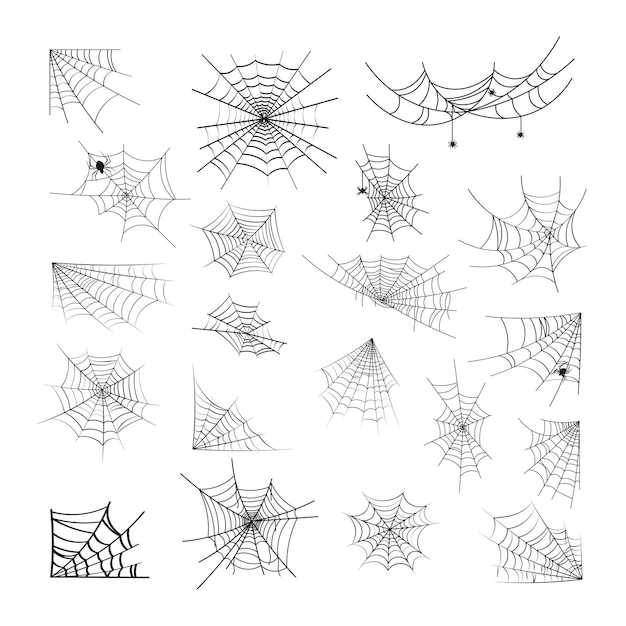 Collection of dpider webs