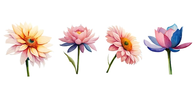 Collection of drawn watercolor flowers