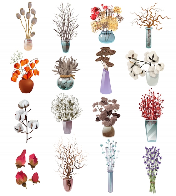 Collection Of Dry Flowers Bouquets In Vases 