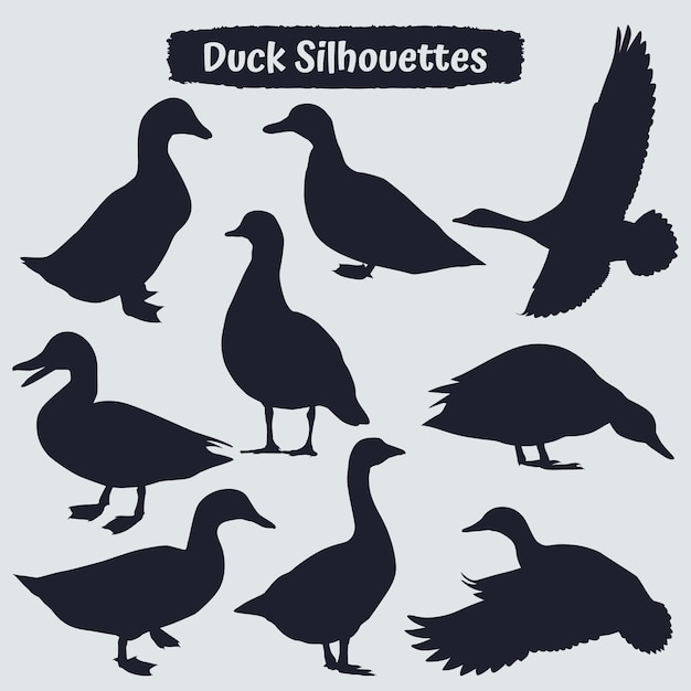 Collection of Duck Silhouette in different poses