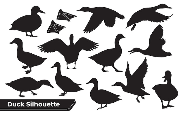 Collection of Duck Silhouette in different poses