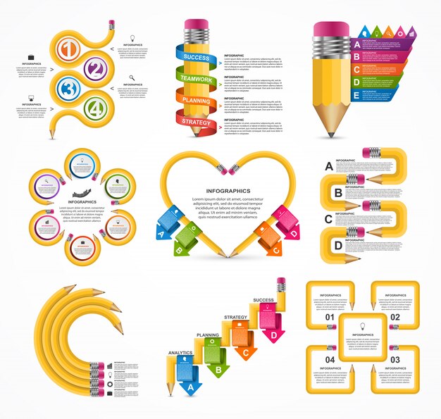 Vector collection education infographics template.