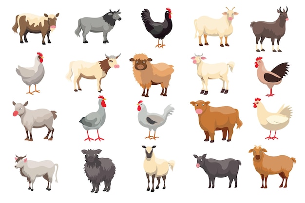 Vector collection of farm animal illustration