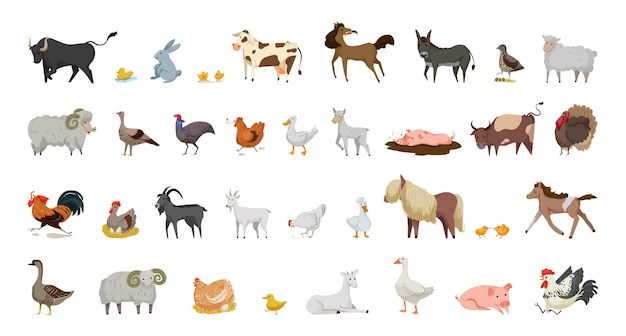 Vector collection of farm animals and birds