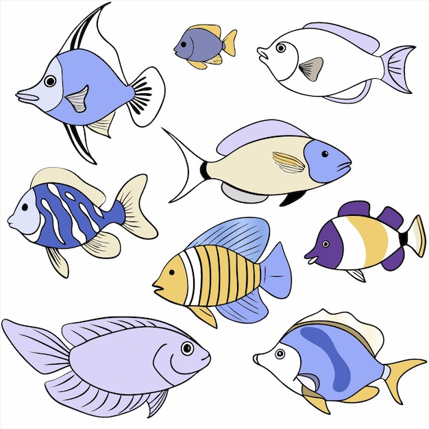 a collection of fish and a picture of the fish