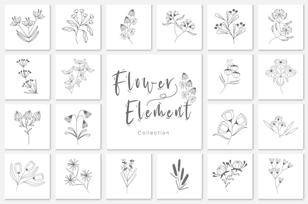 Collection flower element lineart illustration