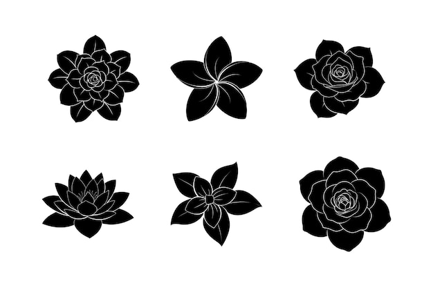 Vector a collection of flowers with a white background silhouette illustration vector