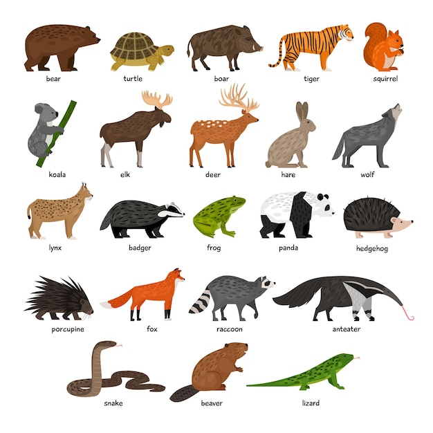 a collection of forest animals vector