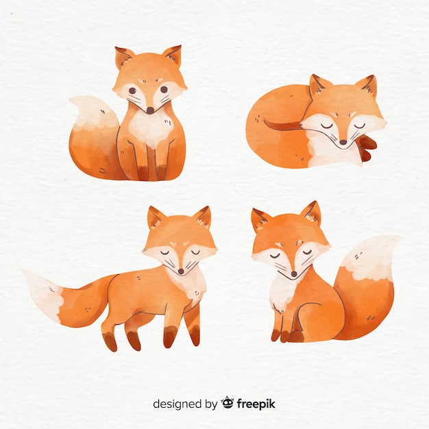 Collection of foxes watercolor style