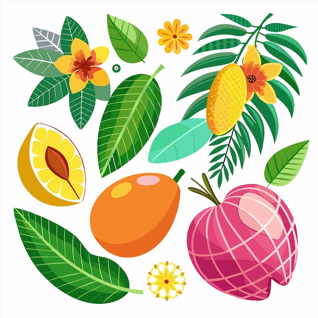 Vector a collection of fruits including one that says quot kiwi quot