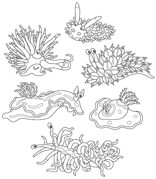 Collection of funny sea monsters molluscs