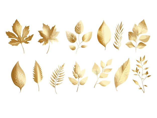 Vector a collection of gold leaf designs including leaves and leaves