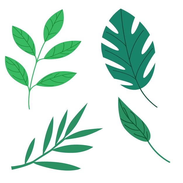 Collection of green leaves. Vector isolated elements on a white background in a flat style.