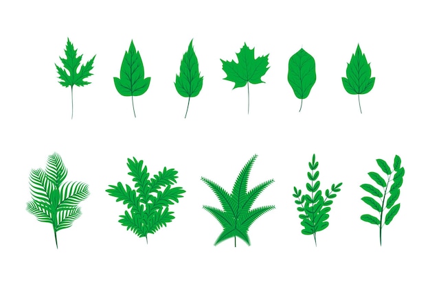 Collection of green plant leaves in flat style